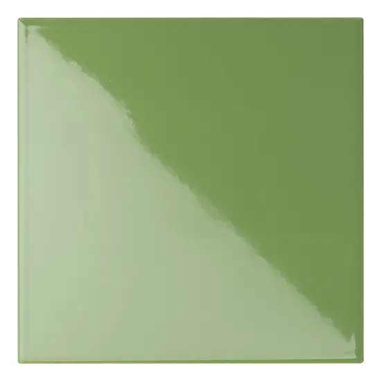 20x20 LIME