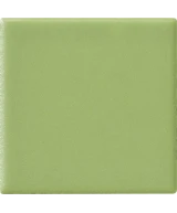 5x5 KIWI