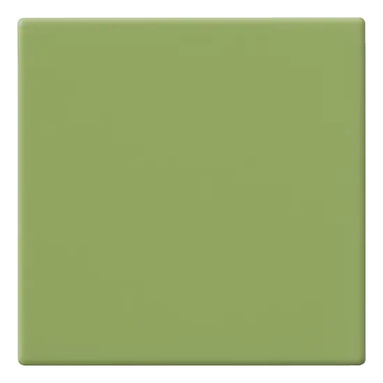 10x10 KIWI