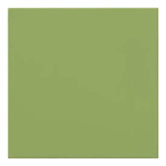 20x20 KIWI