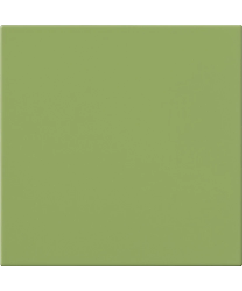 20x20 KIWI - carrelage CESI