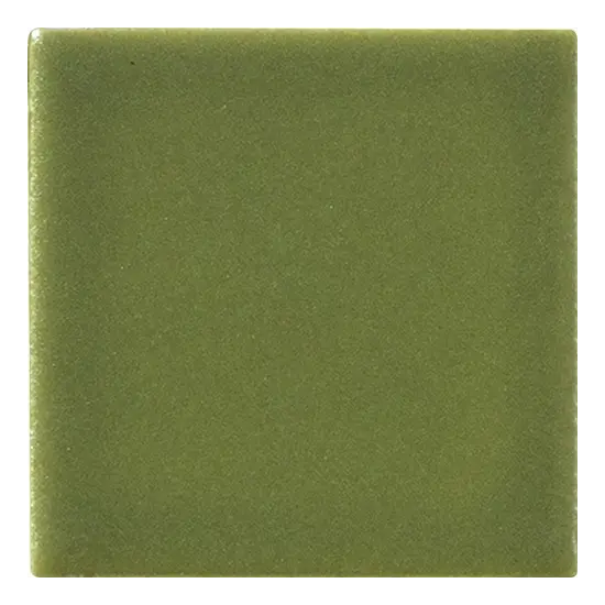 5x5 AVOCADO - carrelage CESI