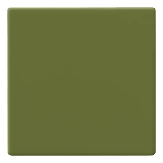 10x10 AVOCADO