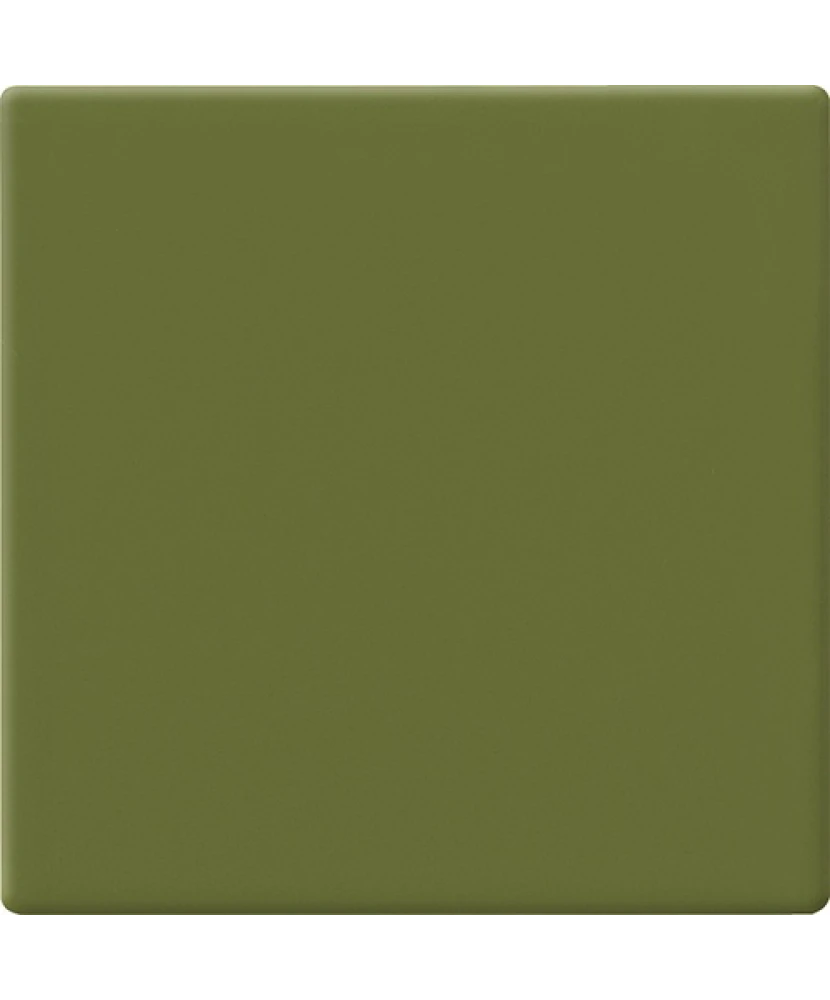 10x10 AVOCADO - carrelage CESI