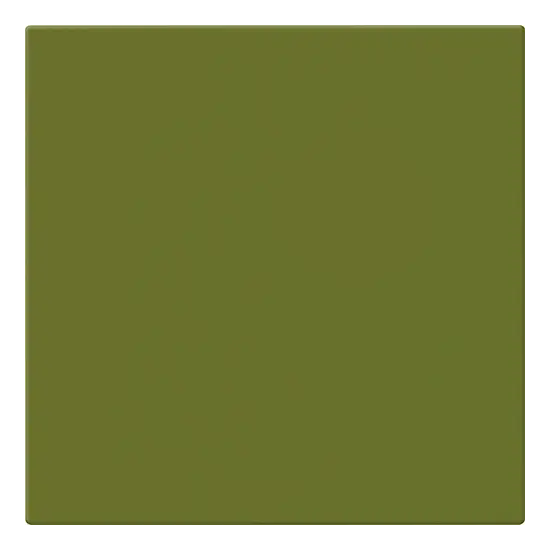 20x20 AVOCADO