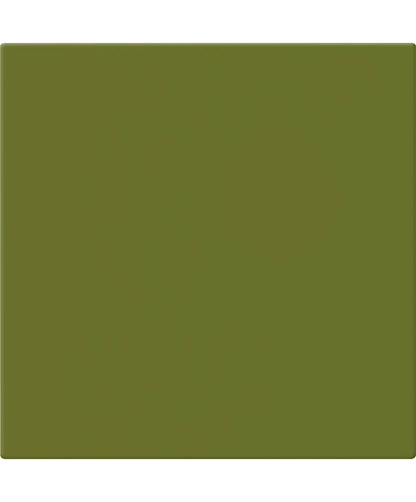 20x20 AVOCADO - carrelage CESI