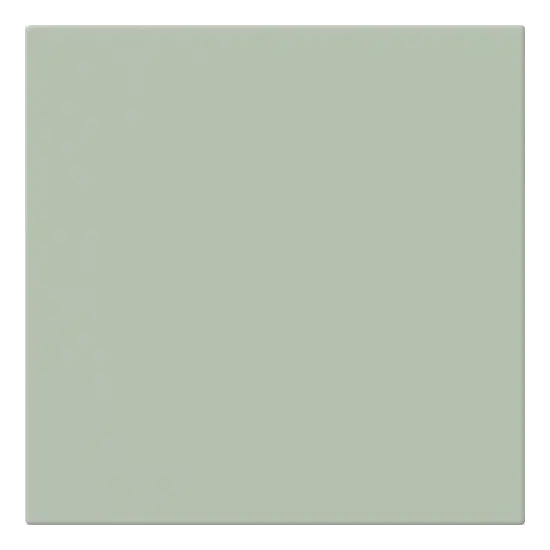 20x20 EDERA