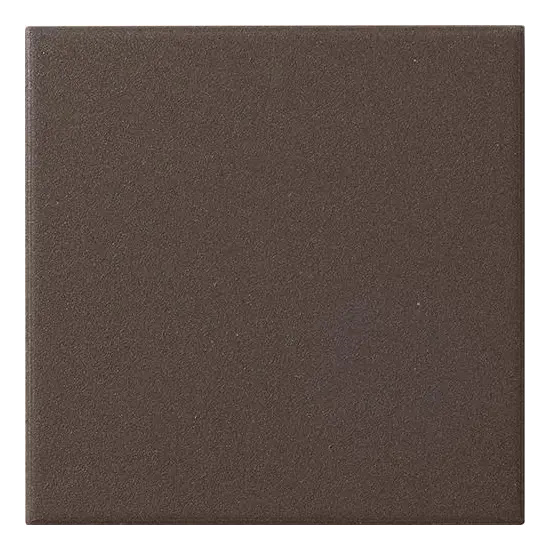 10X10 TERRA