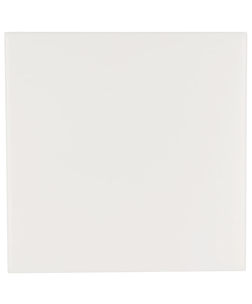 Carrelage Evolution White Mat 15x15 cm - vue de face du carreau