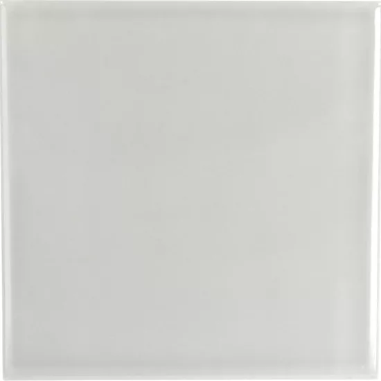 Carrelage Evolution Light Grey 15x15 cm - vue de face du carreau